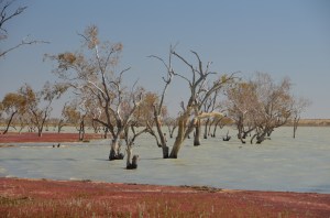 Simpson Desert flooding west of Birdsville September 2012