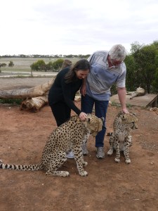 Cool for Cats Feb. 2011