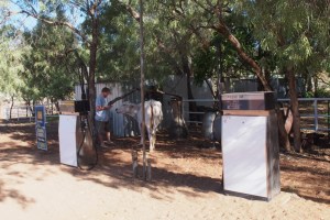 Cash Only No Cards and No Bull