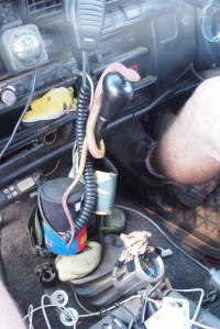 Count the Car Critters