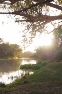 Sunrise At Coopers Creek 
