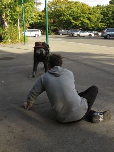 You can take the monkey out of the jungle but....