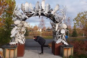 Moose Boy gone wild.