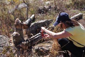 Jen Beavering away with Image Box