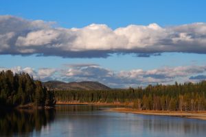 More Typical Yellowstone