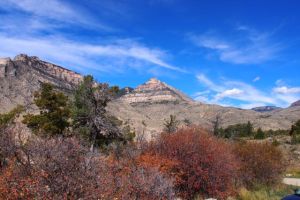 Bighorn N.P.