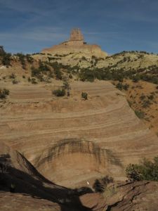 That's me in the centre next to the tree