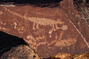 The classic, Lizard and the Lollipop. 