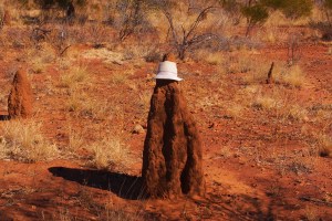 Sometimes less is more as evidenced by the his simple example  of the outback hat collection