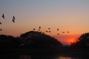 Sunrise a little later.