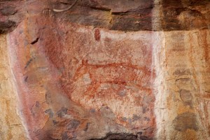 Now extinct Tasmanian Tiger. Thanks guys :-(