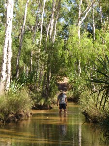 Checking for crocodiles. Those things can give your tyres a nasty bite.