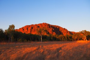Red Rocks, Golden Grass