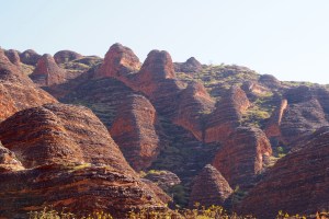 More Bungles. I don't know, are these things called Bungles? Jen........What are these things called?