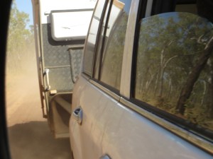 Wayward Indicator eye view