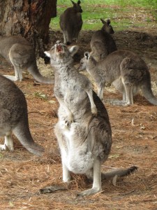 Doing to walk where????