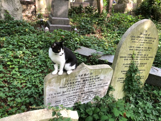 tL7zaF%7R1eGoRKdWR+Y9A