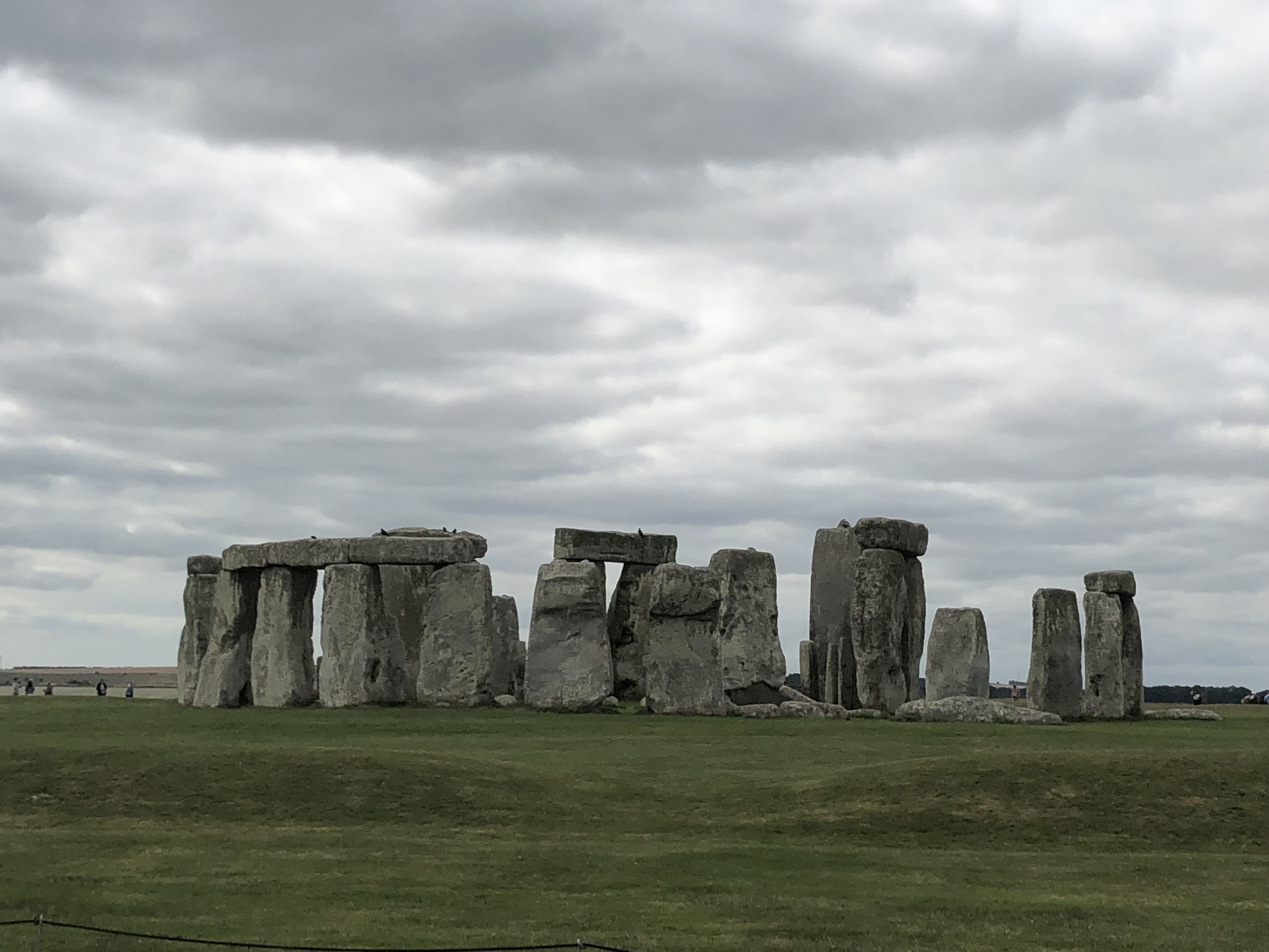 wHlnCxVpSjy88KrMCzm3+g